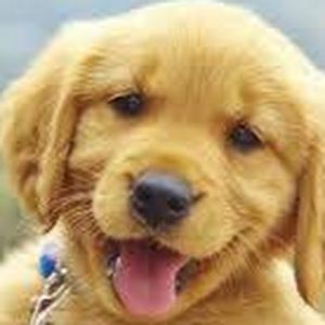 Meet your Posher, Claire